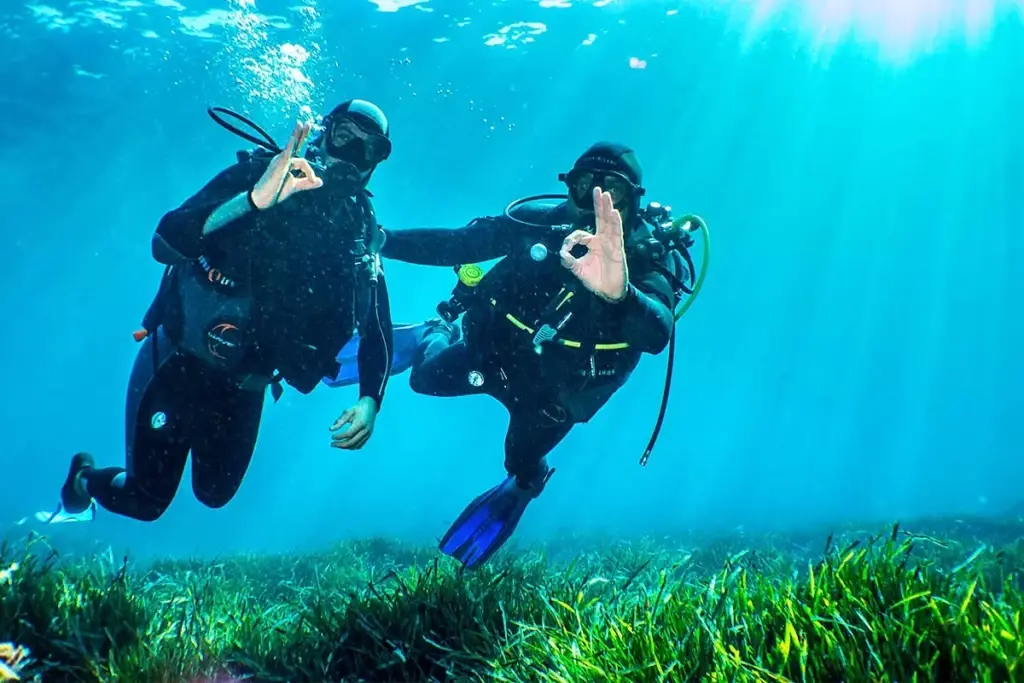 Taucher beim Erkunden der Unterwasserwelt vor der Küste von Tabarka in Tunesien